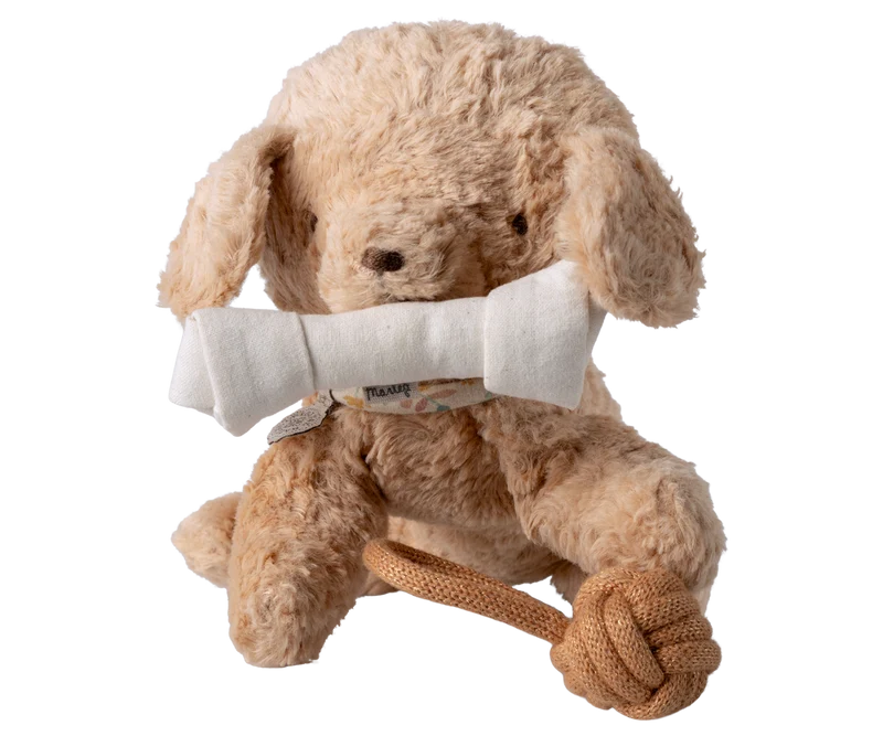 Pet supply, Toys