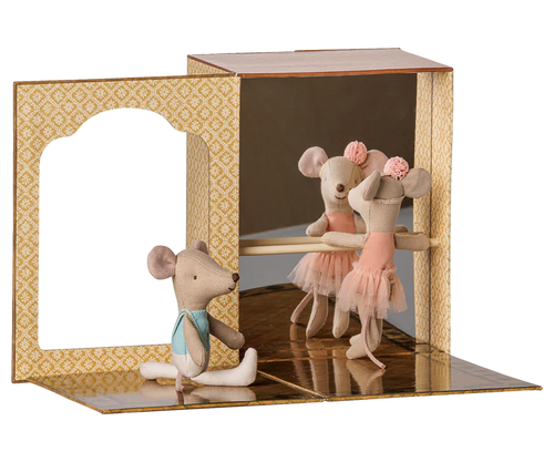 Ballet mice in dance studio, Little sister and brother